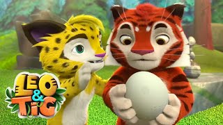 Leo And Tig - A Foundling Super Toons Tv - Best Cartoons