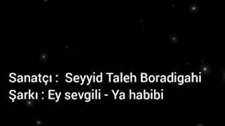 Seyyid Taleh Boradigahi Ey sevgili - Ya habibi (lyrics)