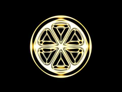 Bee Stings Video