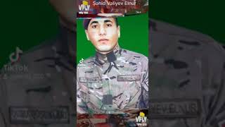 Beyləqan Rayonu Təzəkənd Kəndi Şəhidi Vəliyev Elnur