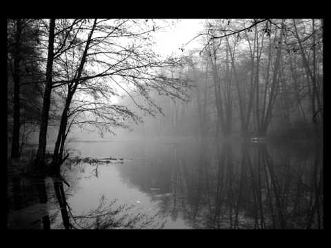 The Reign Of Chaos And Old Night Video