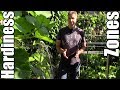 USDA Plant Hardiness Zones Explained