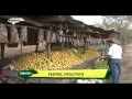 Municipios Bellos de Honduras---PESPIRE, CHOLUTECA.