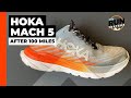 HOKA Mach 5 Review: The Run Testers' award-winning daily trainer after 100 miles