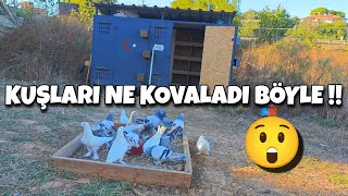 Yok Artik Bukadarda Deği̇l