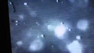 PHASE CONTRAST MICROSCOPY