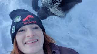 Vixie Met Dixie Dans Un Trou Pour Finnegan Fox Vendredi