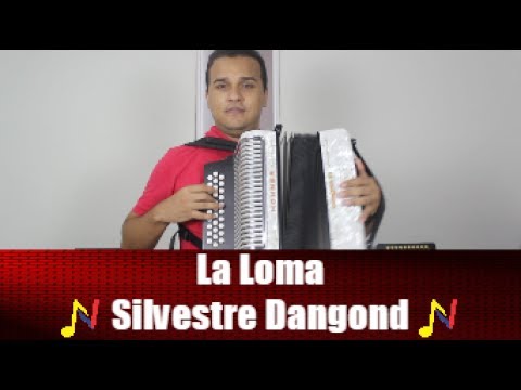 Reproducir Introducción Video Introducción