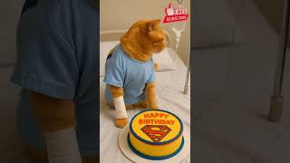 Superhero Cats Birthday In The Hospital Superman Cake Surprise