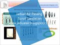 Perambut