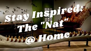 Balboa Park to You - Stay Inspired: The Nat @ Home