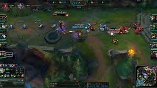 Nasus Dk 12 423 Stak D