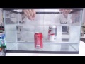 Coke Experiment