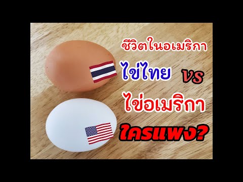 ชีวิตในอเมริกา ราคาไข่ไก่ในอเมริกาถูกหรือแพงกว่าที่ไทย
