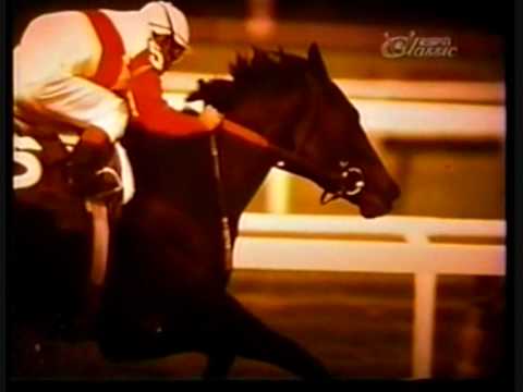 Ranker Video