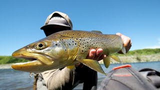 High Country River, Big Fish Crush Dry Flies