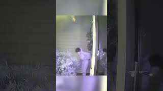 Caught On Camera Stranger Poops In Front Yard