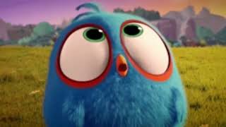 The Angry Birds 3 Movie 2024 Teaser Trailer Concept Rovio Animation Sony Pictures Animation
