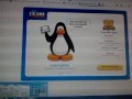Como ser socio en Club Penguin para siempre Diciembre-Enero 2013-2014