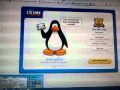 Como ser socio en Club Penguin para siempre Diciembre-Enero 2013-2014