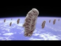 ROCKETBOOM