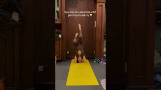 Aubrey Miles Nag Head Stand