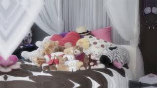 Amanda Todds Bedroomlast Time She Went To Her Bedroom