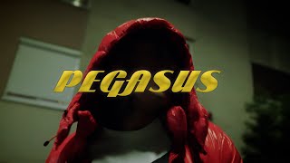 Raphael - Pegasus 