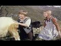 Heidi Goat Scene Heidi Goat Scene