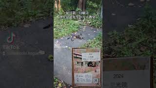 第三日曜日は尺八の日　 　 　