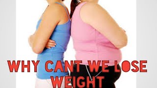 Why We Cant Lose Weight Body Fat Breakthrough Reviews Animation