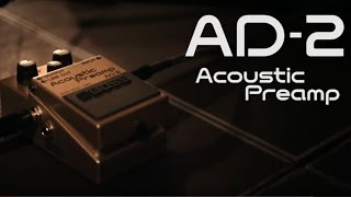 Boss AD-2 Acoustic Preamp Performance featuring Dewey