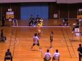 Badminton 2009 All Japan 混合複決勝6(2ndゲーム 2/4) '09 全日本社会人