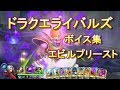【ドラクエライバルズボイス集】エビルプリースト(CV:島田敏)