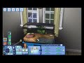 Let's Play: The Sims 3 Pets (Part 26) - Domestic Abuse w/ Commentary