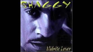 Watch Shaggy Perfect Song video