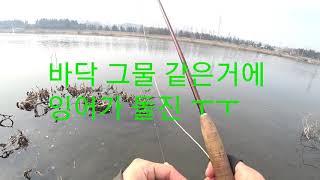 잉어낚시(봄이왔어요)