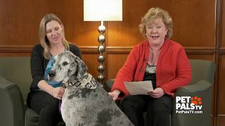 Pets and people share health concerns