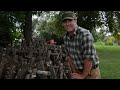 mushroom cultivation