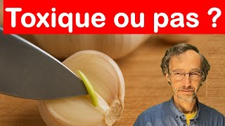 Le Germe De Lail Est Il Toxique ?