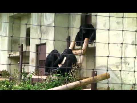 昼下がりの動物園で