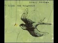 Tracy Bonham - Naked