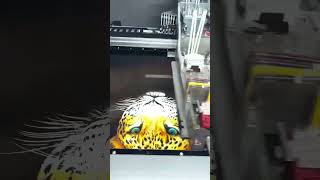 Dtg Garment Printing Process