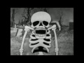 Swingrowers - Midnight - ( Unofficial Halloween Video ) - ( Freshly Squeezed )