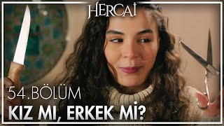 Reyyan'ın testleri Miran'ın eğlencesi oluyor! - Hercai 54. Bölüm