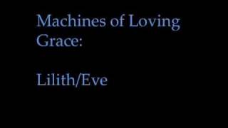 Watch Machines Of Loving Grace Lilitheve video