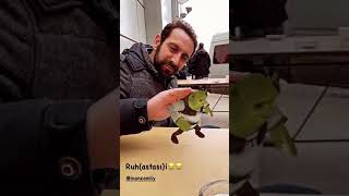 Toygan Avanoğlu Komik İnstagram Storysi Kuzey Yıldızı İlk Aşk