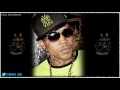 Vybz Kartel - You Want Me (Raw) [Igloo Riddim] February 2014