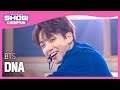 [Show Champion] [추석 특집] 방탄소년단(BTS) - DNA l EP.373