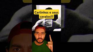 A História De Carlinhos E Seus Cavalos